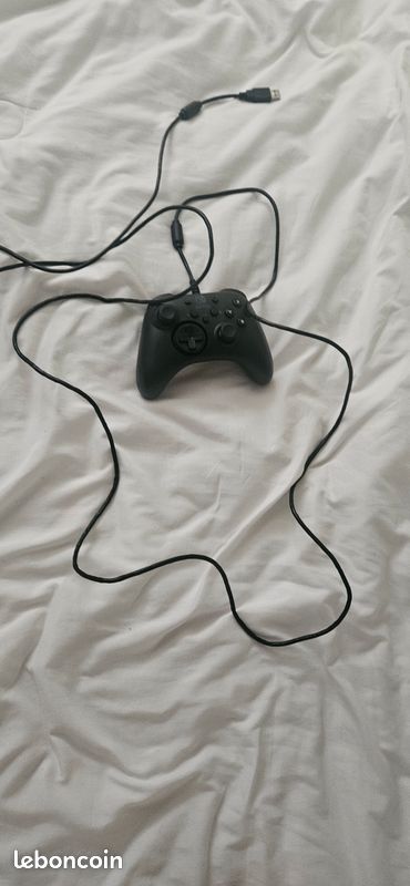 Mannete switch (image 1)