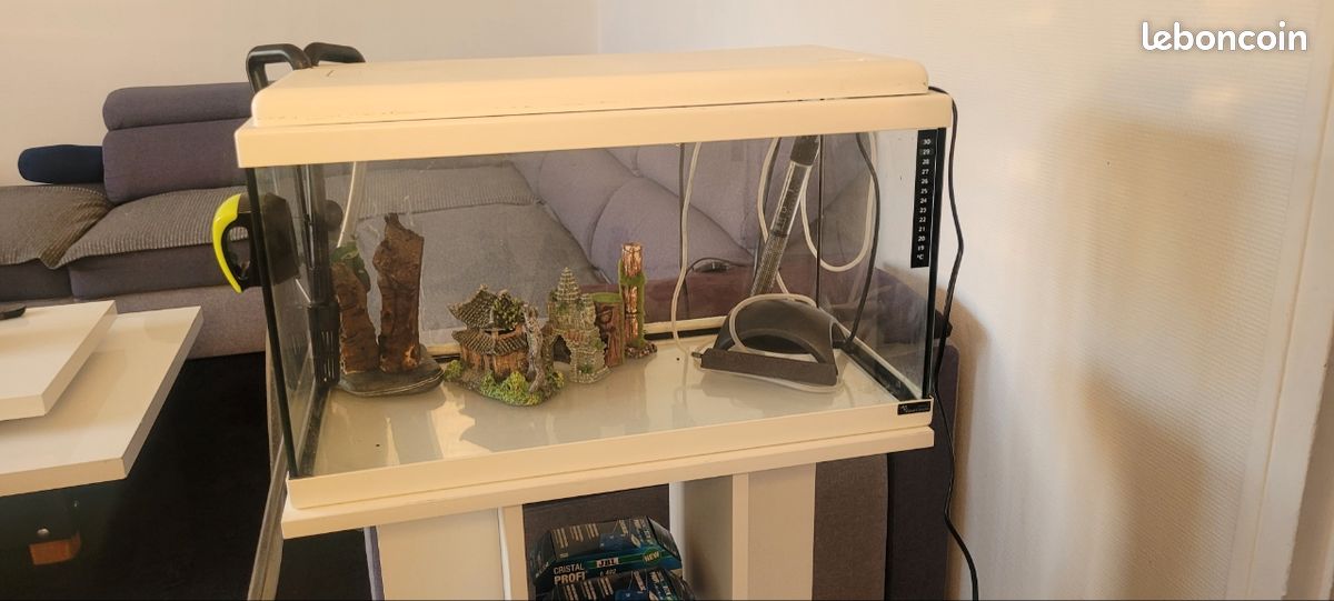 Aquarium eau chaude et son meuble blanc (image 2)