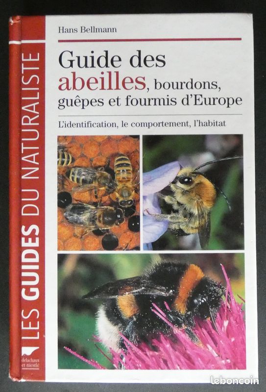 Guide des abeilles, bourdons, guêpes et fourmis d'Europe. De Hans Bellmann. Delachaux et Niestlé, les guides du naturaliste 2011 (image 1)