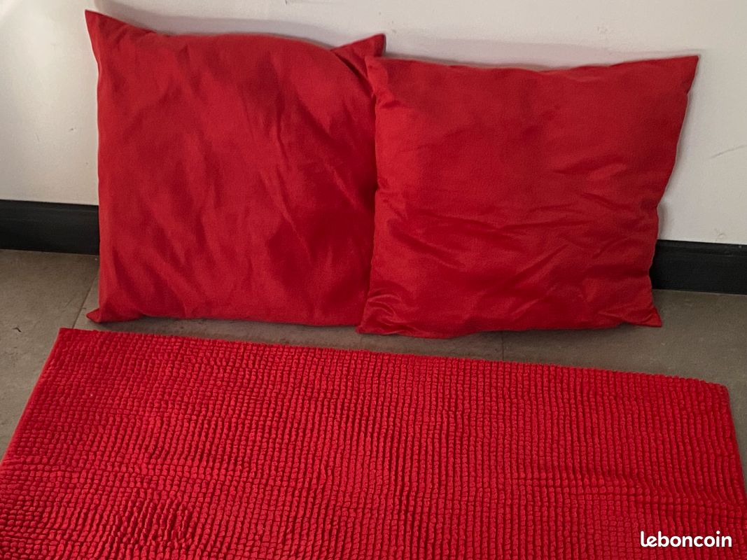 Lot de 2 coussins et tapis assortis (image 2)