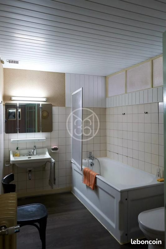 Maison 11 pièces 377 m² - Civray 86400 (image principale 19)
