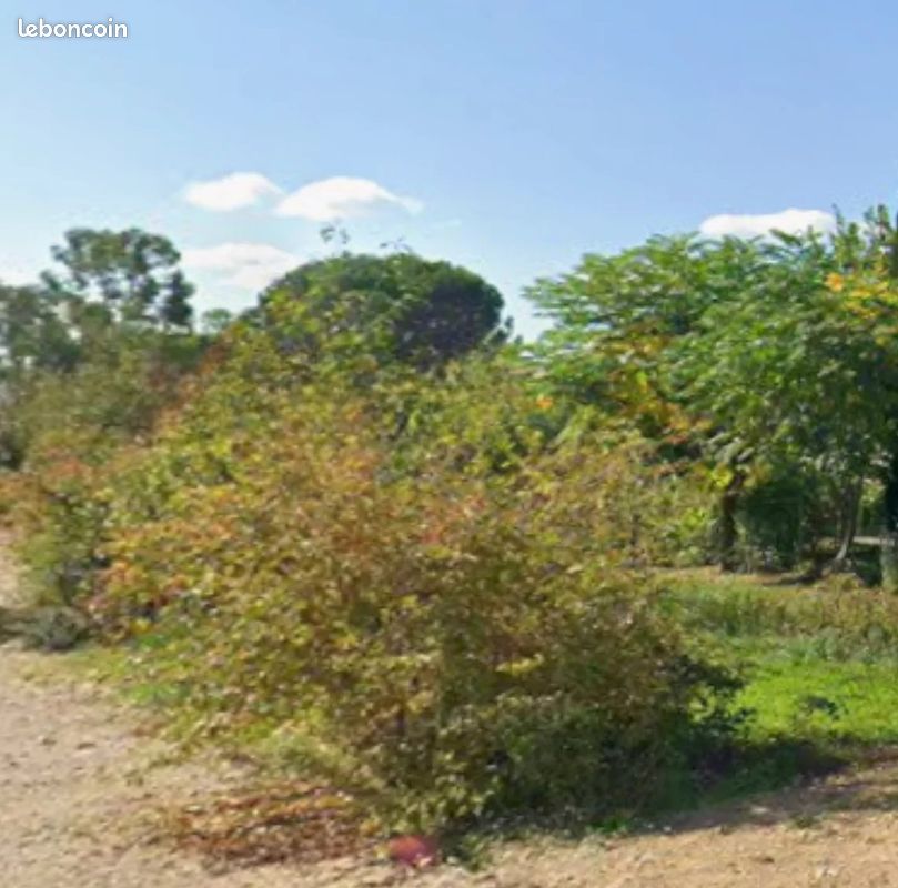 Terrain 740 m² · à Lisle-sur-Tarn · 740 m² · 49 000 €