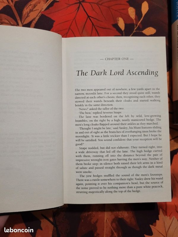 Harry Potter and the Deathly Hallows (image 5)
