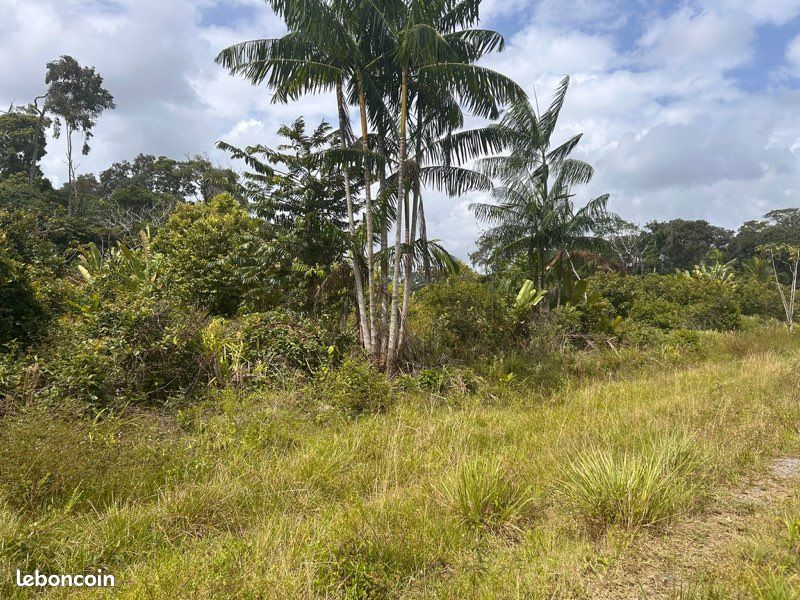 Terrain agricole 2h · à Matoury · 35 000 €