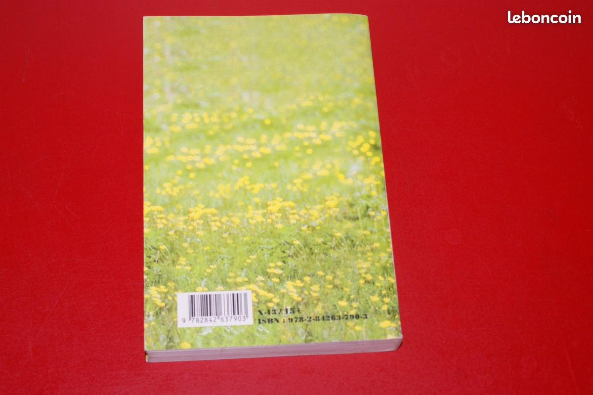 LIVRE BILLIE de ANNA GAVALDA (image 2)