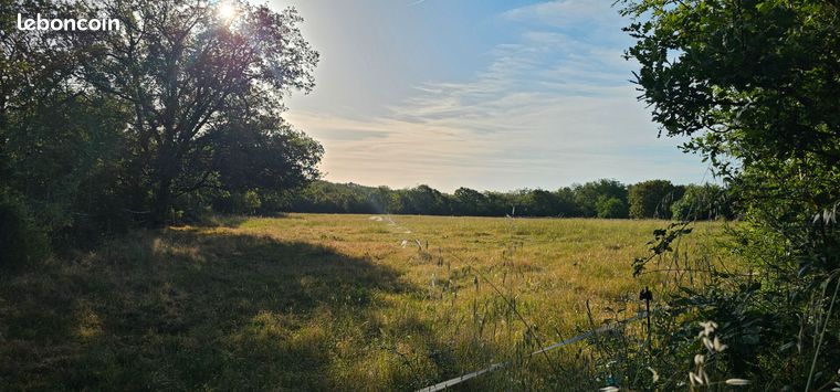 Terrain 11596 m² LA CAPELLE BALAGUIER