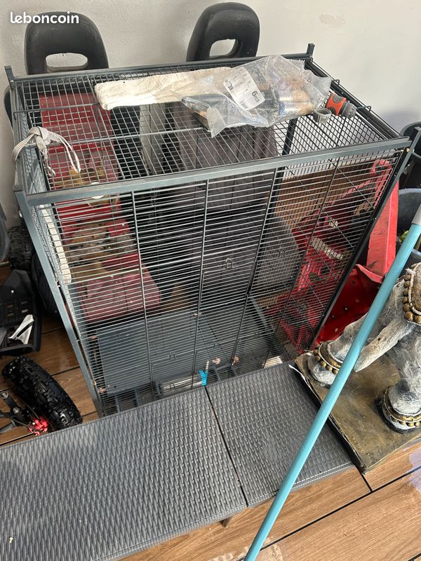 Cage hamster (image 1)