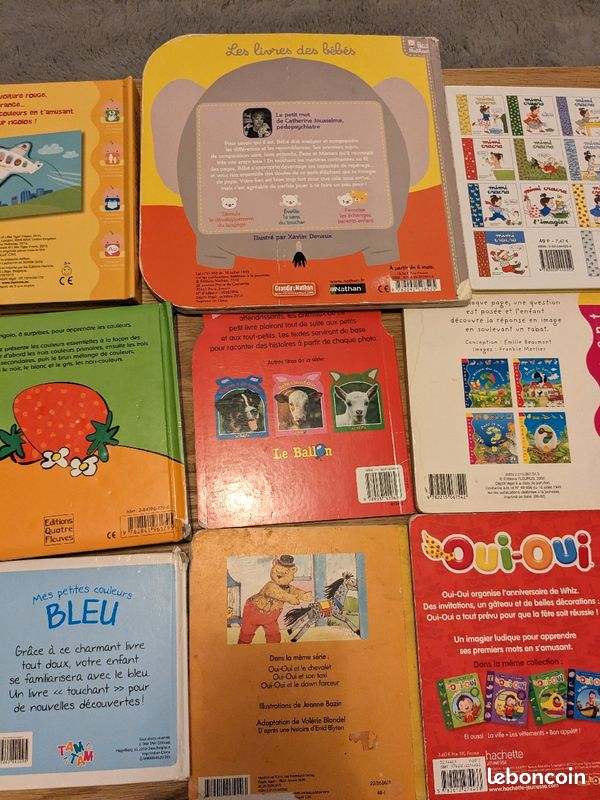 Lot 9 livres (image 7)