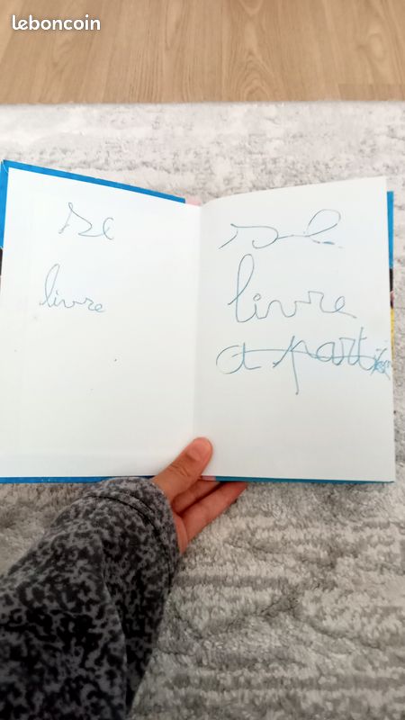 Livre les Schtroumpfs (image 2)