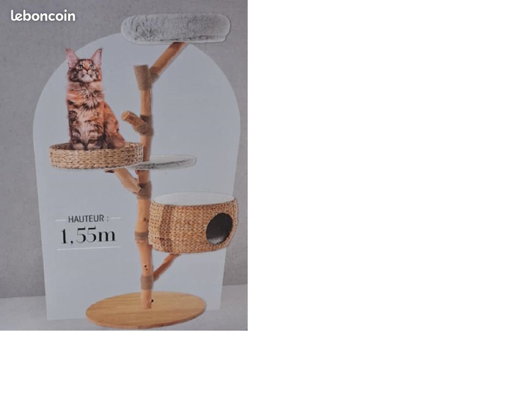 Arbre à chat naturel, en bois de poirier 155cm (image 3)