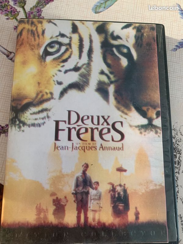 DVD les 2 frères (image 2)