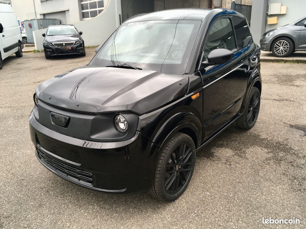 Ligier myli lab sans permis (image 1)