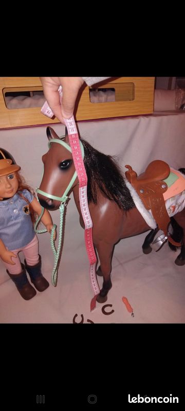 Cheval et sa cavaliere (image 4)