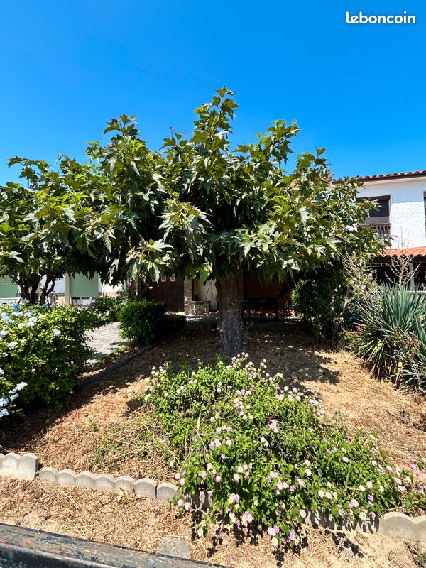 Maison 5 pièces 136 m² · à Canet-en-Roussillon · 136 m² · 285 000 €