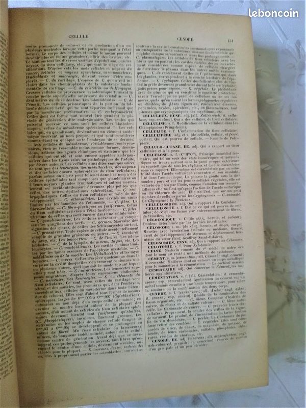 Nouveau dictionnaire de medecine, de chirurgie 1886 (image 4)