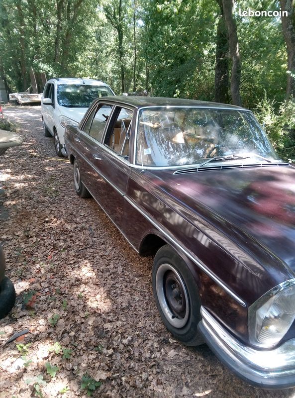 Mercedes 250 SE (image 3)