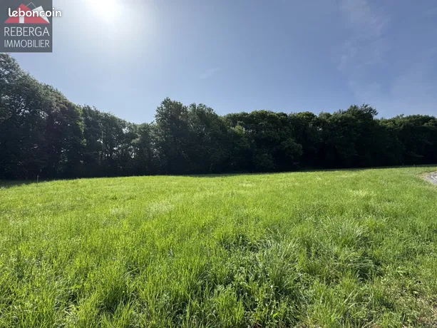 Annonce vente Terrain mazamet