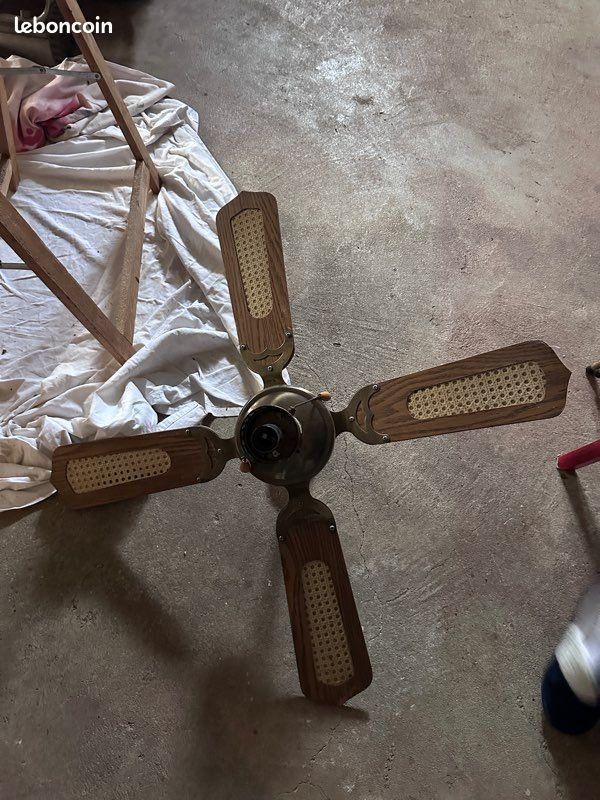 Lustre ventilateur (image 1)