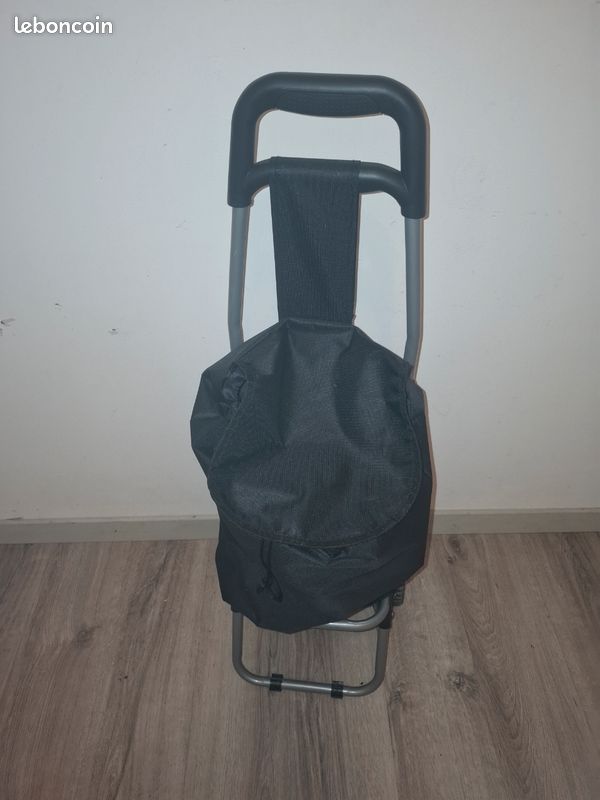 Vend chariots de courses (image 1)