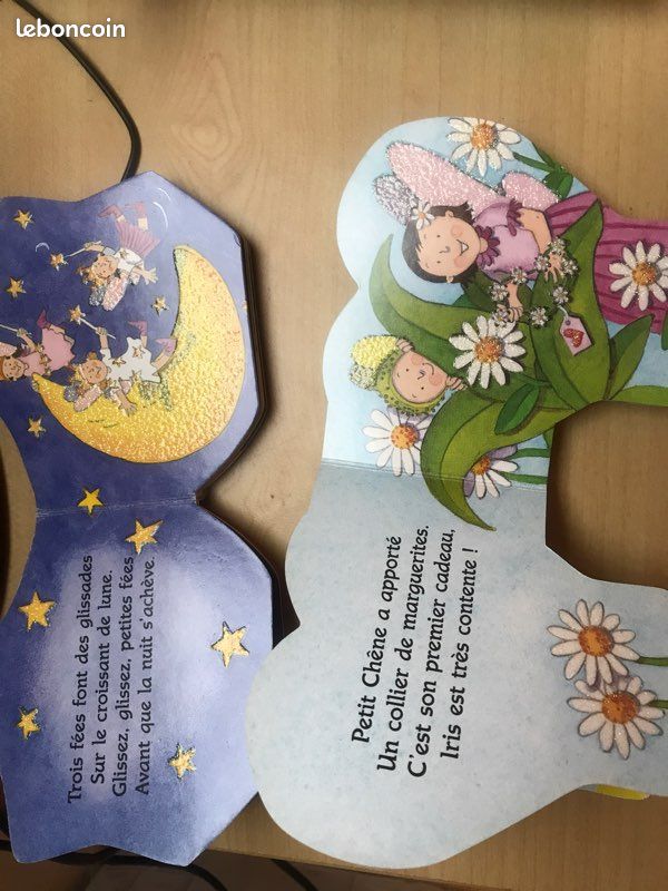 Livres Enfants au pays enchanté (image 2)