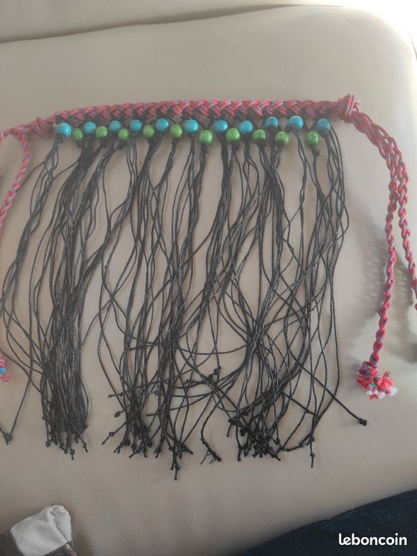 Frontal chasse-mouches (image 1)