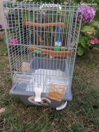 Sitemapcdatahttpapsmixel Thicoipeinfocage Oiseaux Occasion Particulier 1