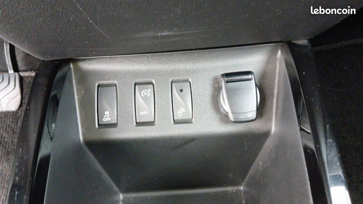 Dacia spring expression (image 26)