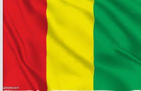 Drapeau de la guinee (image 1)