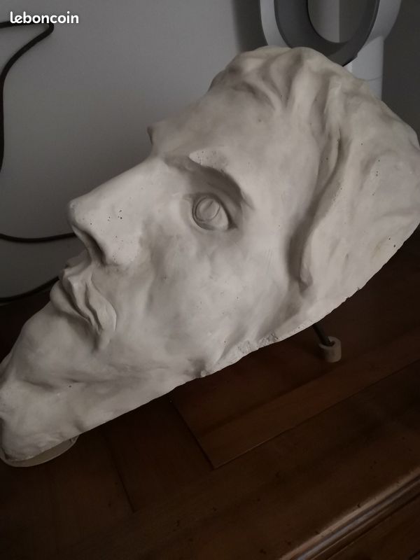 Le visage du C.... En plâtre (image 3)