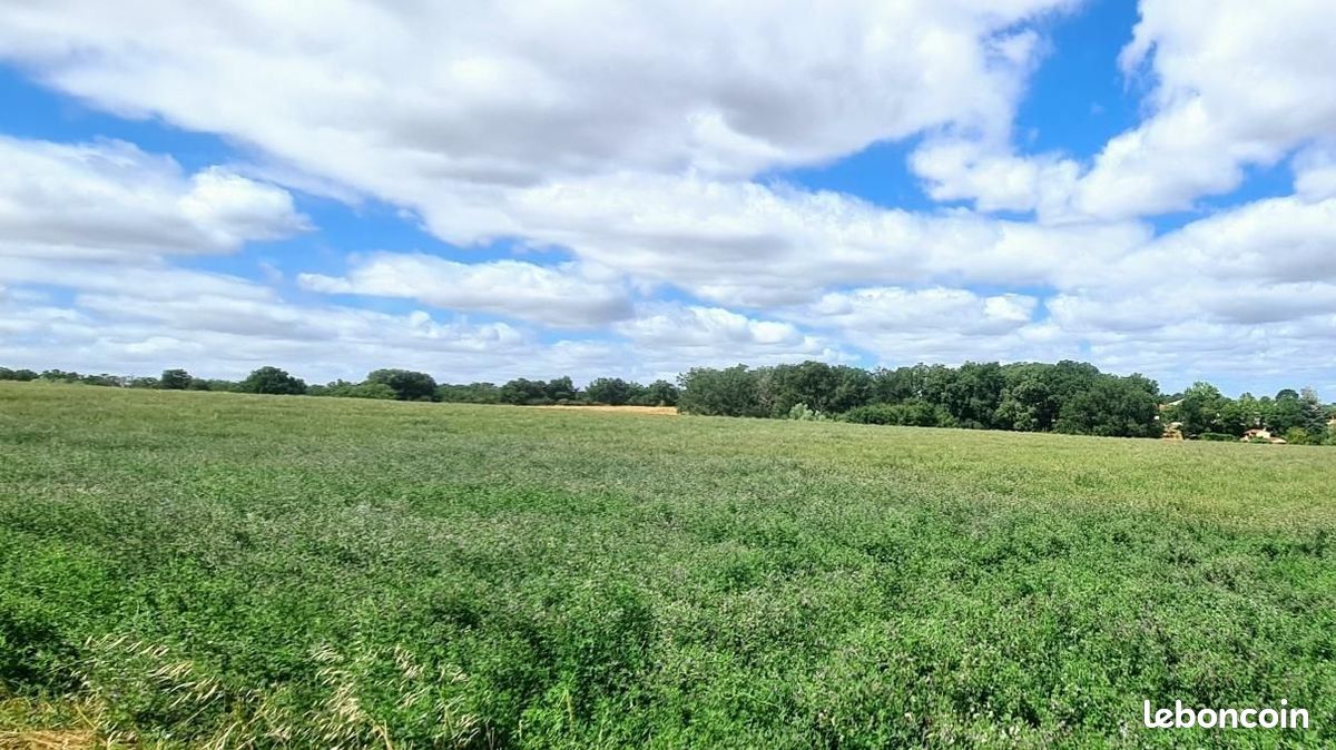 Terrain 800 m² · à Auzielle · 220 000 €