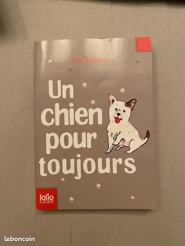 Livres scolaire (x20) tout âge (image 16)