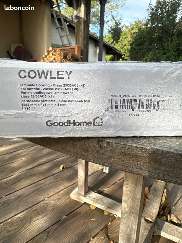 Parquet Cowley Googhome (image 1)