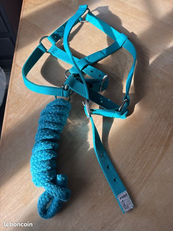Longe +corde (équitation) (image 2)