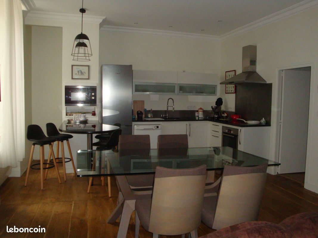 Appartement meublé centre ville Limoges - Limoges 87000 (image principale 1)