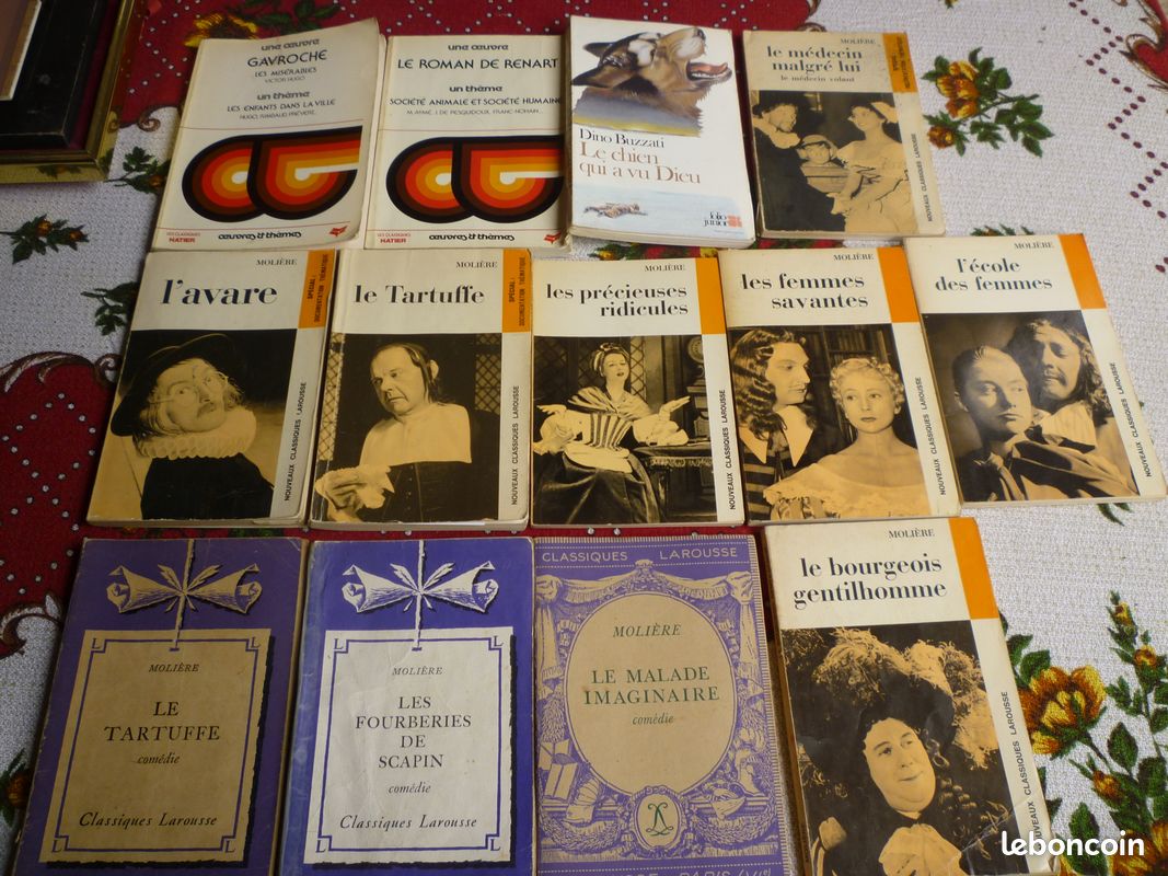 Livre "animaux" pour enfants (image 17)