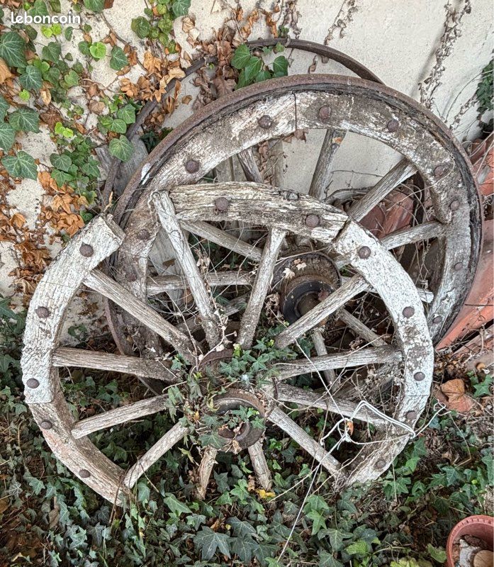 Roue bois cercle fer (image 1)