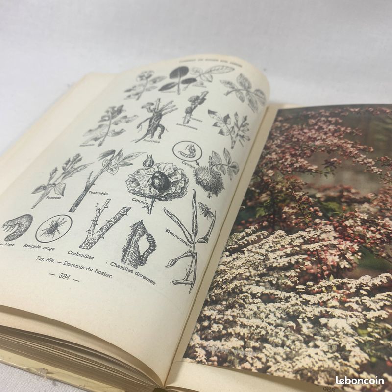 Comment on soigne son jardin par G. Truffaut et P. Hampe (image 5)