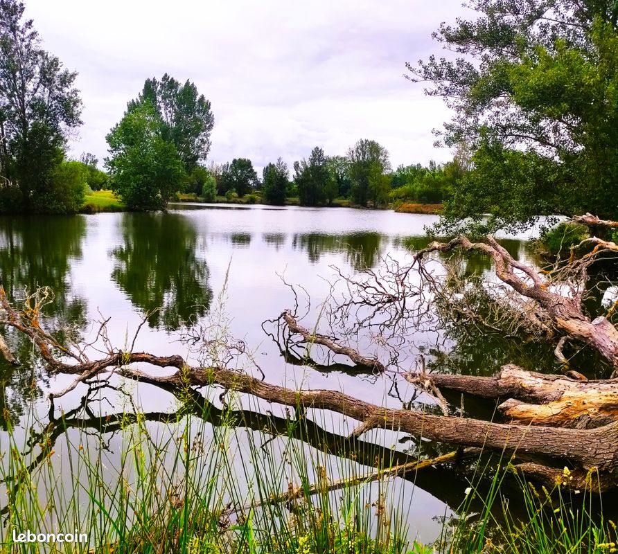 Recherche lac étang graviere lac agricole lac d'irrigation acheter ou a loué · à Buzet-sur-Tarn · 38 000 €