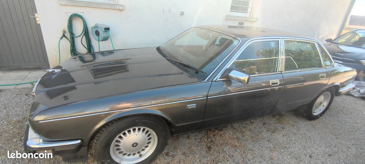 Jaguar (image 2)