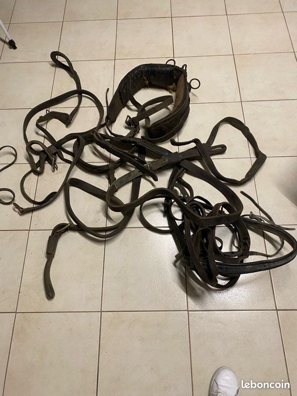 Harnachement en cuir pour sulky et deux selle (image 2)