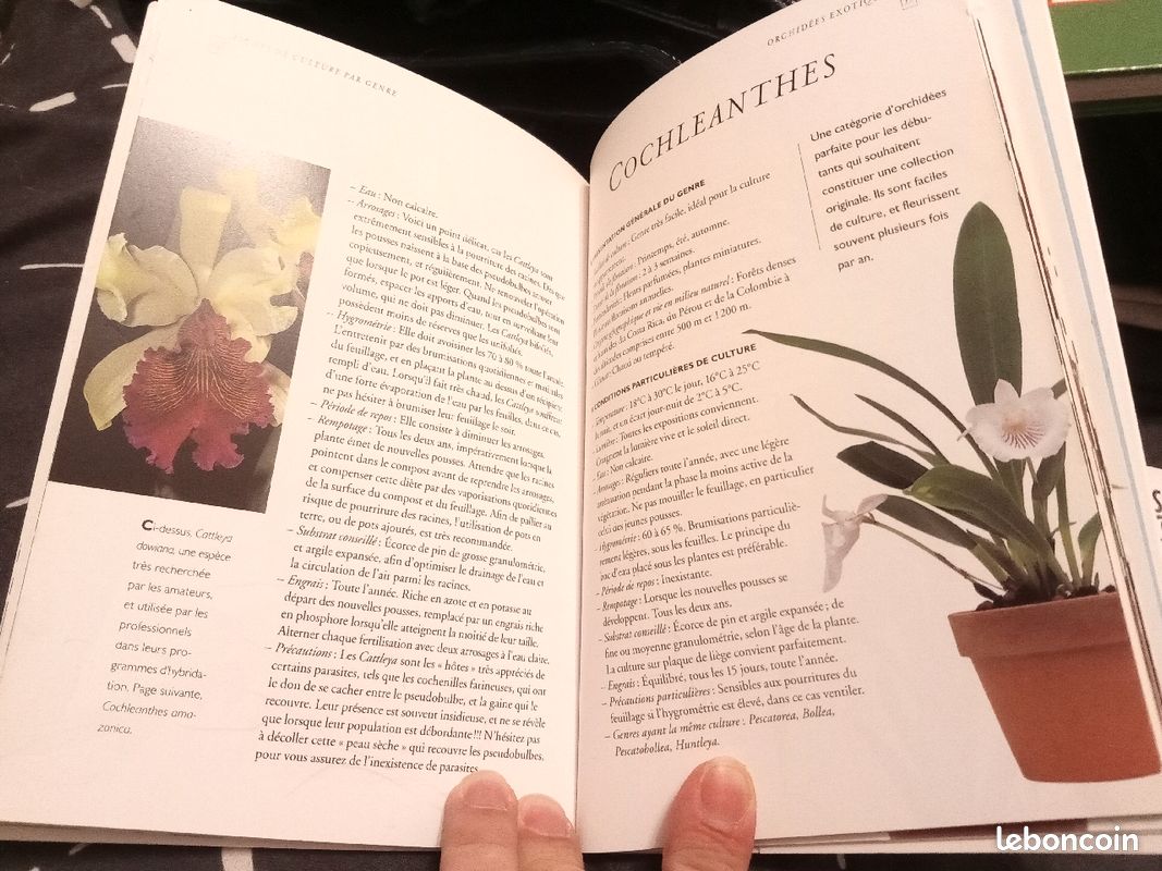 2 livres sur la réussites des orchidées (image 2)