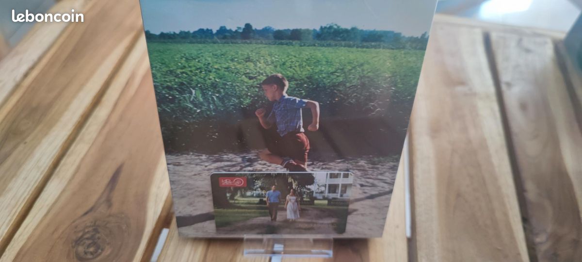 Forrest Gump Hdzeta Edition Neuf (image 2)