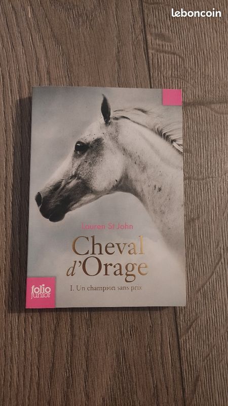 Un champion sans prix - Cheval d'orage tome 1 - Lauren St John (image 1)