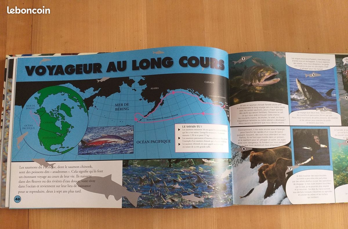 Livre " SPLOUF " le Monde aquatique - Gemma FLETCHER - MILAN Jeunesse 2009 (image 5)
