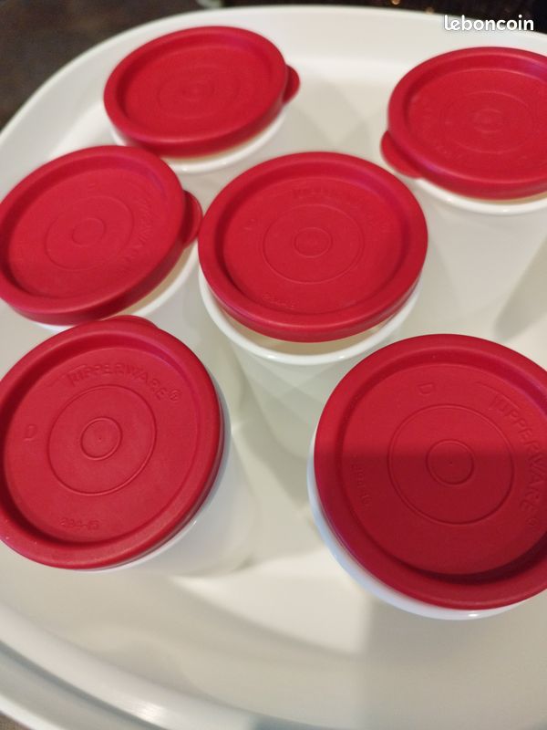 Yaourtière tupperware (image 4)