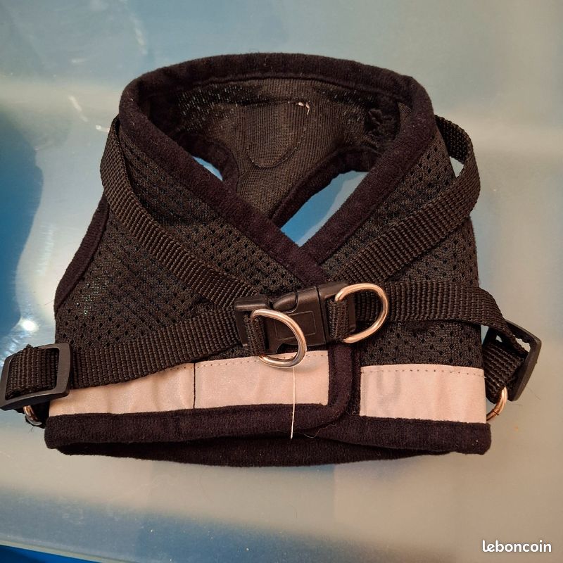 Harnais chien taille S (image 2)