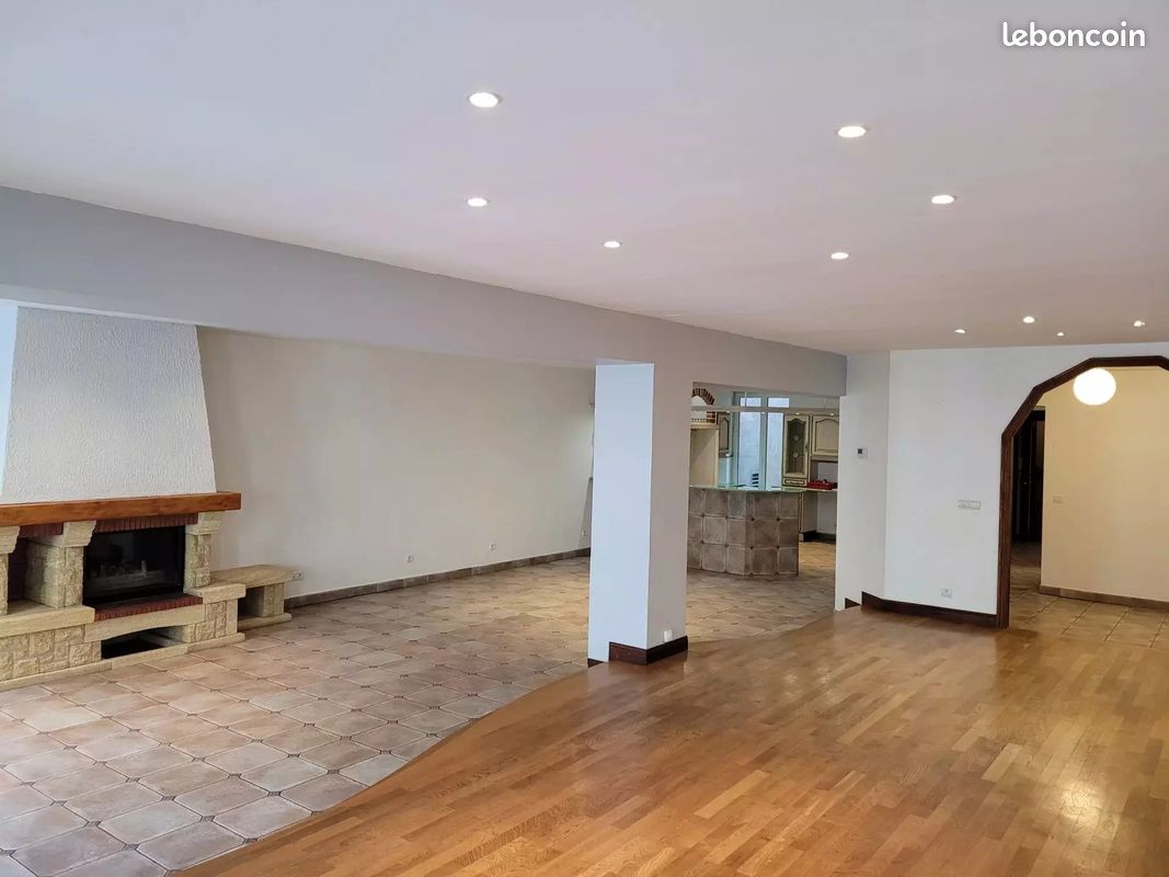 F5 - 182 M² - THIONVILLE CENTRE - SEJOUR SPACIEUX de 72M² (image 1)