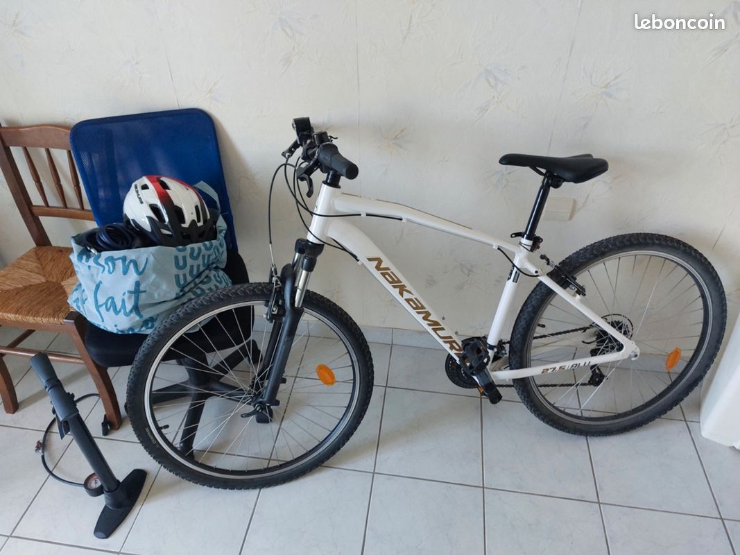 Bicyclette Nakamura Ou Btwin Disha Comparatif Velo Electrique 2021