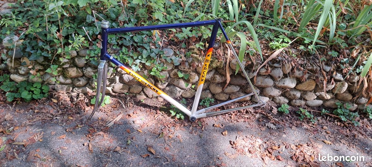 Vélos vintage Gitane Libéria Mercier Vitus Eddy Merckx (image 3)