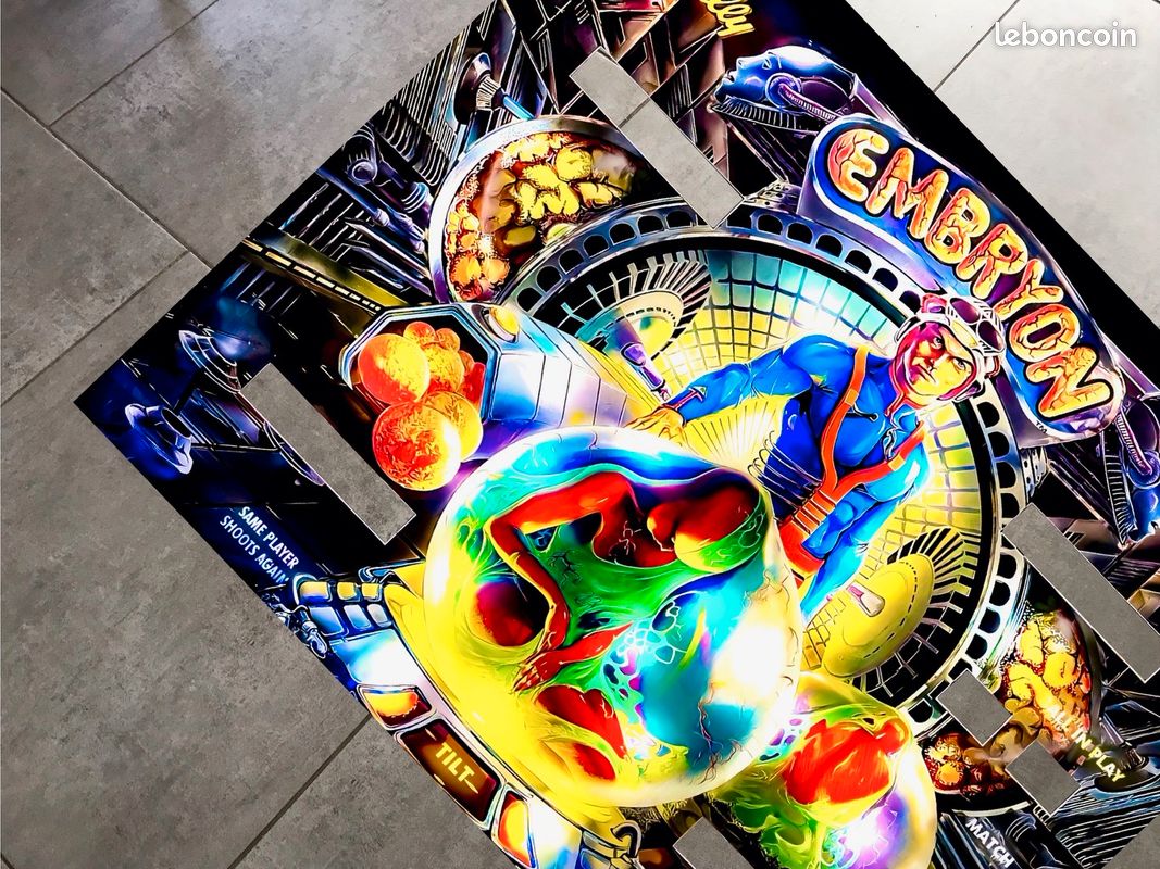 Translite Flipper Embryon - Jeux & Jouets